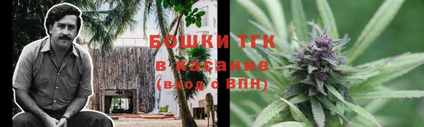 прущие грибы Баксан