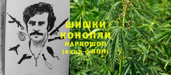 прущие грибы Баксан