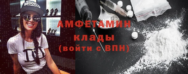 прущие грибы Баксан