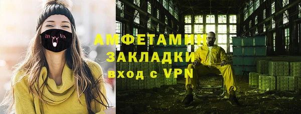 прущие грибы Баксан
