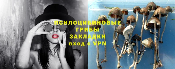 бутират Белокуриха