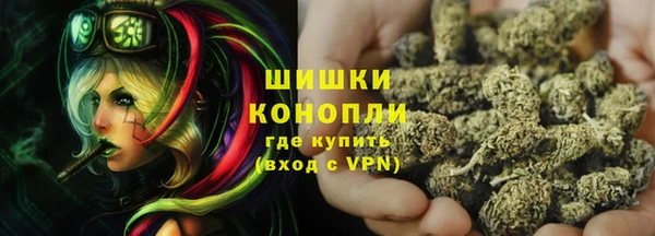 сатива Балахна