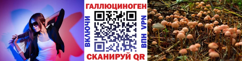 Галлюциногенные грибы Magic Shrooms  купить закладку  Киров 